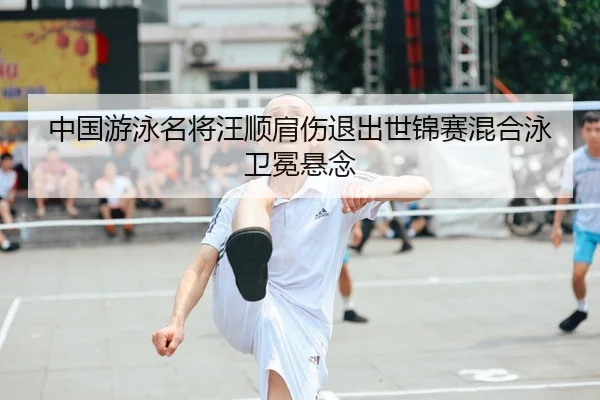 中国游泳名将汪顺肩伤退出世锦赛混合泳卫冕悬念